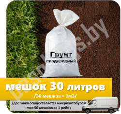 мешок31